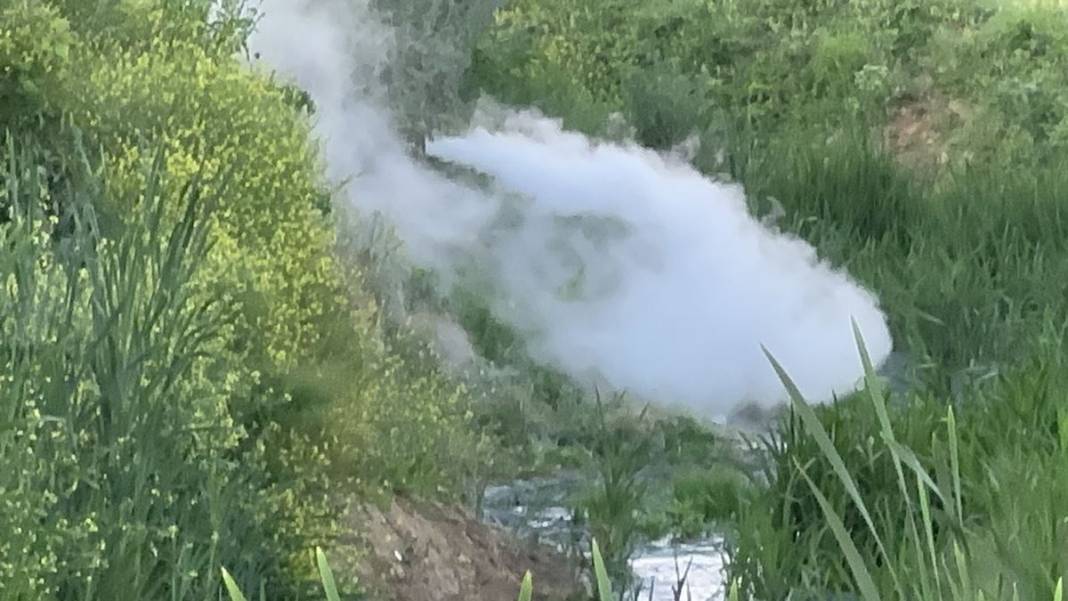 İstanbul'un o mahallesinde büyük panik! Korkunç manzarayı gören istifra etmeye başladı! 12